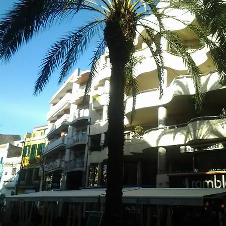 Grand Kamelia